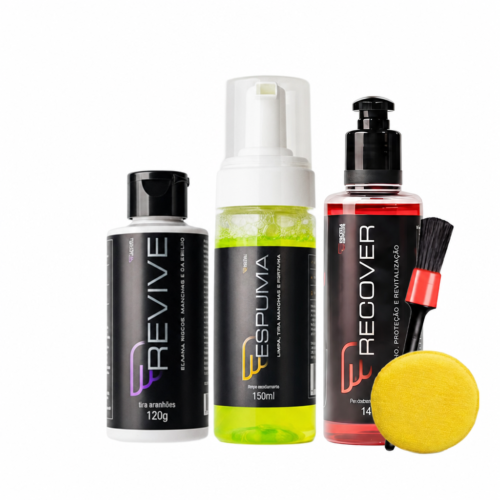 Kit House Of Motors Espuma Interior + Recover + Revive